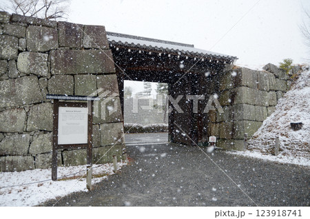 雪の二条城 南中仕切門 京都市中京区 雪の二条城 南中仕切門 京都市中京区 123918741