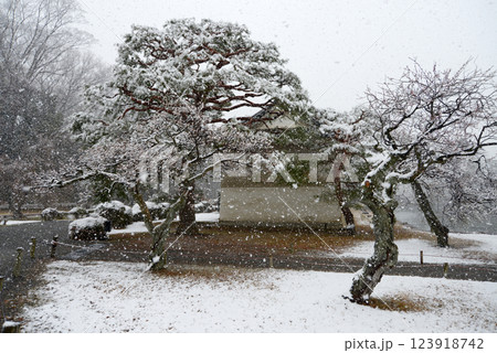 雪の二条城 内堀脇の土蔵 京都市中京区 雪の二条城 内堀脇の土蔵 京都市中京区 123918742
