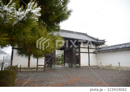 雪の二条城　桃山門　京都市中京区 123919082