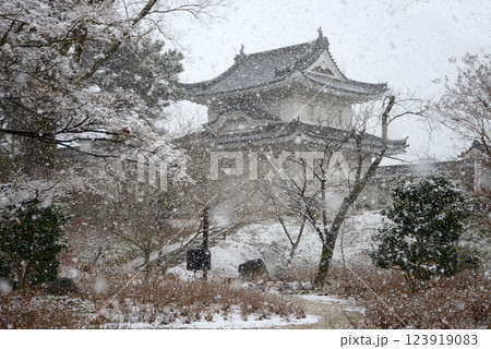 雪の二条城 西南隅櫓 京都市中京区 雪の二条城 西南隅櫓 京都市中京区 123919083