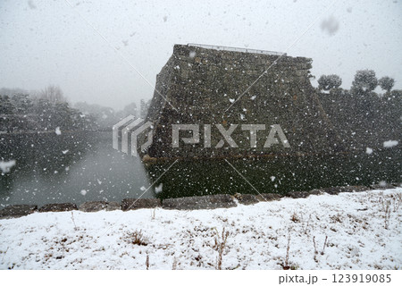 雪の二条城　内堀と本丸石垣　京都市中京区 123919085