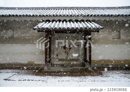 雪の二条城　内堀脇の土蔵　京都市中京区 123919088