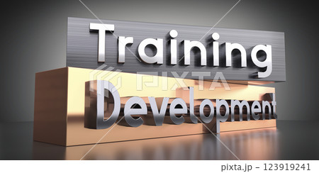 Training, development - words on metal blocks - 3D illustration 123919241