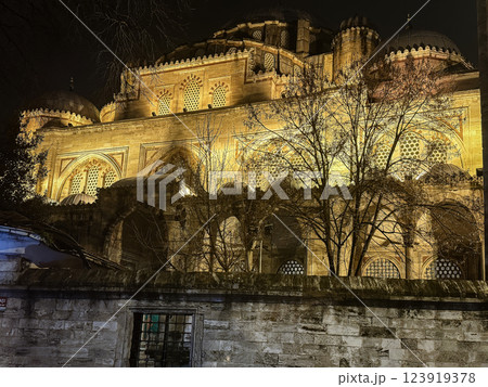 Illuminated Blue Mosque at night, Istanbul, Turkey Illuminated Blue Mosque at night, Istanbul, Turkey 123919378