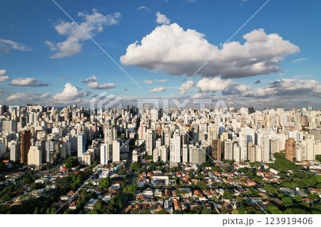 Sao Paulo cityscape showing modern buildings and green spaces under clouds 123919406