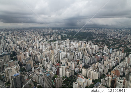 Skyline view of Sao Paulo showcasing dense urban development and nature 123919414