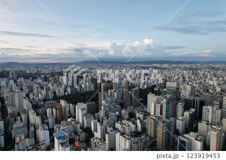Vast urban landscape of Sao Paulo Brazil showcasing city skyline and nature 123919453