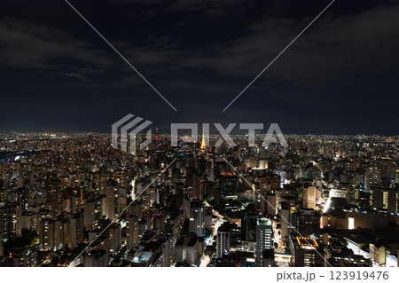 Night view of a sprawling city skyline illuminated by countless lights Night view of a sprawling city skyline illuminated by countless lights 123919476