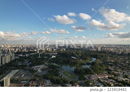 Sao Paulo skyline view showcasing green parks and urban landscape during day Sao Paulo skyline view showcasing green parks and urban landscape during day 123919481