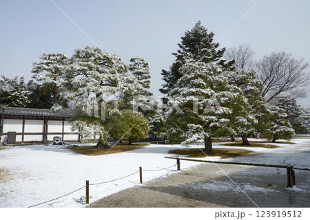 雪の二条城 城内の積雪 京都市中京区 雪の二条城 城内の積雪 京都市中京区 123919512