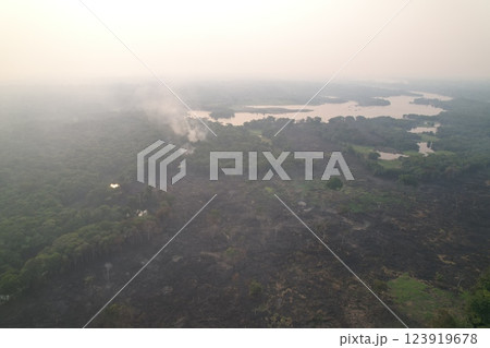 Forest area affected by fire near a river with smoke rising in the distance Forest area affected by fire near a river with smoke rising in the distance 123919678