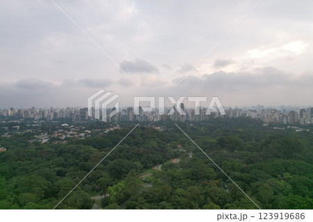 View of urban skyline over lush green park in Sao Paulo, Brazil 123919686