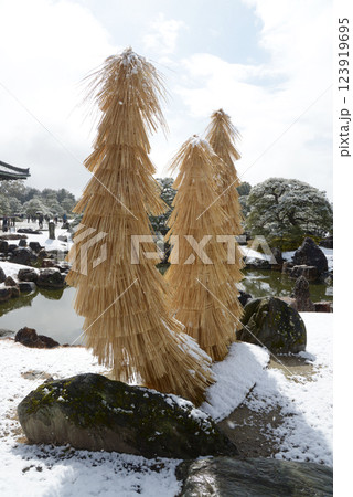 雪の二条城 二の丸庭園 京都市中京区 雪の二条城 二の丸庭園 京都市中京区 123919695