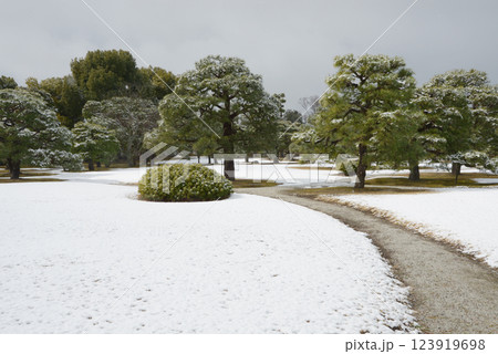 雪の二条城 二の丸庭園 京都市中京区 雪の二条城 二の丸庭園 京都市中京区 123919698