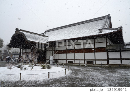 雪の二条城　本丸御殿　京都市中京区 123919941