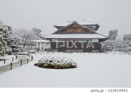 雪の二条城 本丸御常御殿 京都市中京区 雪の二条城 本丸御常御殿 京都市中京区 123919942