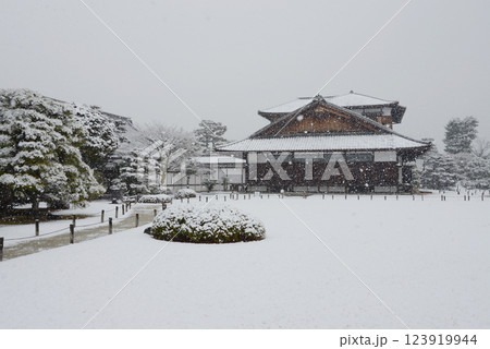 雪の二条城　本丸御常御殿　京都市中京区 123919944