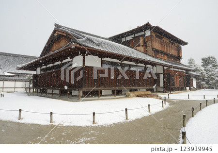雪の二条城 本丸御常御殿 京都市中京区 雪の二条城 本丸御常御殿 京都市中京区 123919945