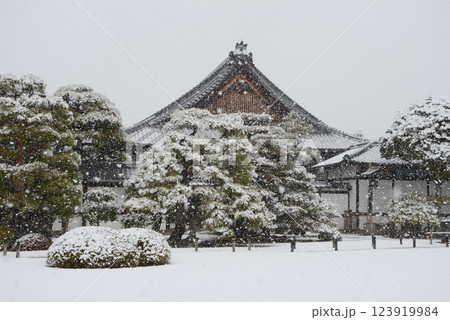 雪の二条城　本丸御殿　京都市中京区 123919984
