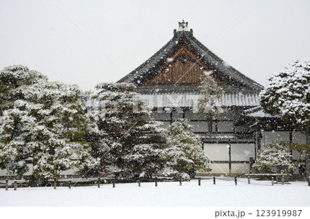 雪の二条城　本丸御殿　京都市中京区 123919987