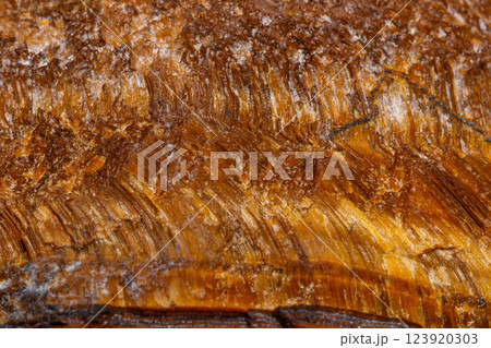 Macro mineral stone Tiger's eye in the breed on a white background 123920303