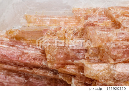 Macro mineral stone Tourmaline in the breed a white background 123920320