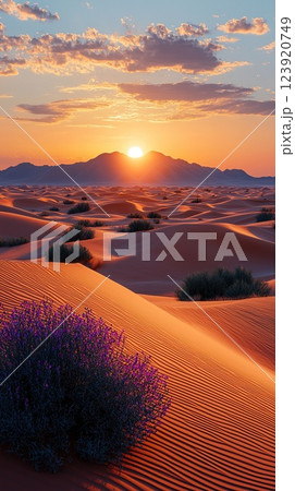 Sunset over desert dunes with purple flowers in the foreground and mountains in the background 123920749