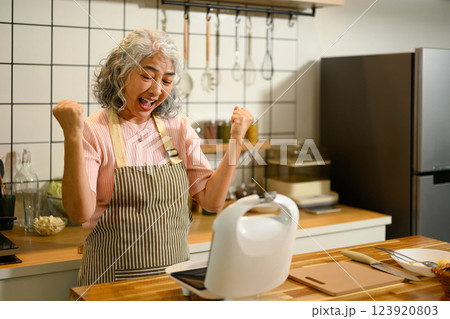 Happy mature woman preparing a delicious breakfast using a sandwich maker in a kitchen 123920803