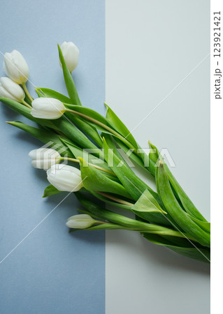 White tulips bouquet on light blue and white background White tulips bouquet on light blue and white background 123921421