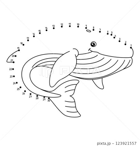 Dot to Dot Blue Whale Animal Isolated Coloring  123921557