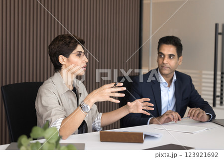 Serious stylish businesswoman speak on negotiations with partners in boardroom 123921692