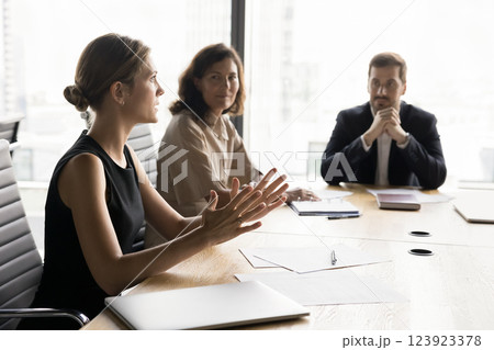 Professional businesswoman speaks to shareholders met in boardroom 123923378