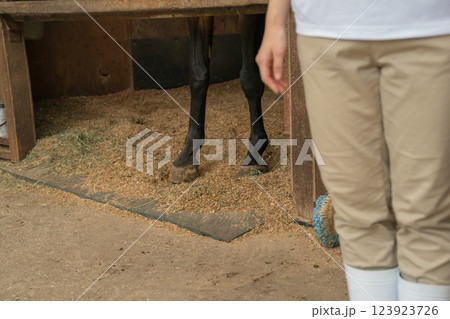 involved with horses involved with horses 123923726