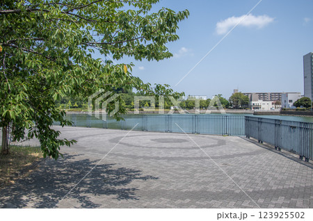 富岡並木ふなだまり公園 神奈川県横浜市金沢区富岡東 富岡並木ふなだまり公園 神奈川県横浜市金沢区富岡東 123925502