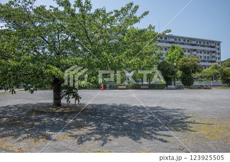 富岡並木ふなだまり公園　神奈川県横浜市金沢区富岡東 123925505