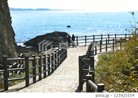 荒崎公園 神奈川県横須賀市長井 荒崎公園 神奈川県横須賀市長井 123925554