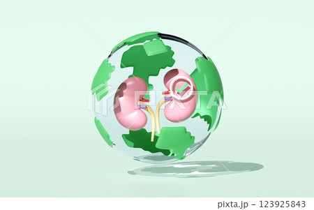 3d realistic human kidney in globe transparent with check mark isolated on green background. health love, world kidney day concept, 3d illustration render 3d realistic human kidney in globe transparent with check mark isolated on green background. health love, world kidney day concept, 3d illustration render 123925843