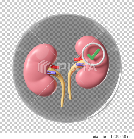 3d kidney human realistic in transparent glass ball with check mark isolated. health love, world kidney day concept, 3d illustration render 3d kidney human realistic in transparent glass ball with check mark isolated. health love, world kidney day concept, 3d illustration render 123925852