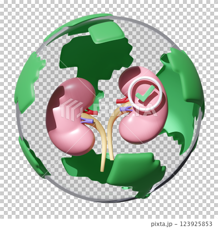 3d realistic human kidney in globe transparent with check mark isolated. health love, world kidney day concept, 3d illustration render 123925853