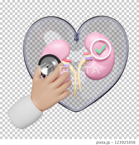 Doctor hand holding stethoscope with human kidneys in transparent heart, check mark isolated. health love, world kidney day concept, 3d illustration render Doctor hand holding stethoscope with human kidneys in transparent heart, check mark isolated. health love, world kidney day concept, 3d illustration render 123925856