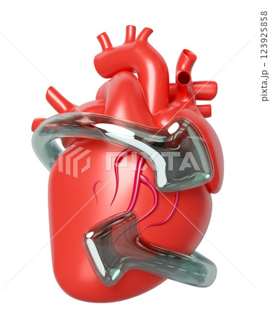 3d realistic human heart with arrow transparent isolated. heart disease prevention, health love, world heart day concept, 3d illustration render 3d realistic human heart with arrow transparent isolated. heart disease prevention, health love, world heart day concept, 3d illustration render 123925858