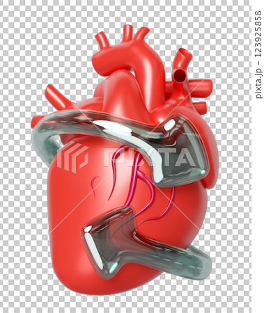 3d realistic human heart with arrow transparent isolated. heart disease prevention, health love, world heart day concept, 3d illustration render 3d realistic human heart with arrow transparent isolated. heart disease prevention, health love, world heart day concept, 3d illustration render 123925858