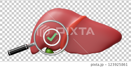 3d realistic human liver with magnifying glass, check mark isolated. check liver health concept, 3d illustration render 123925861