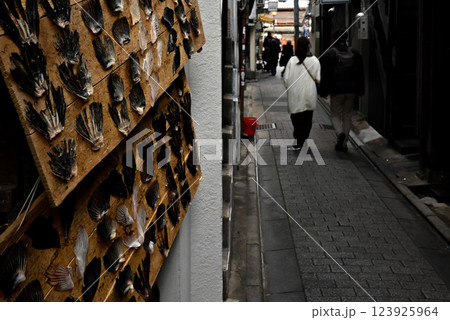 路地裏で干された居酒屋のフグひれ 路地裏で干された居酒屋のフグひれ 123925964