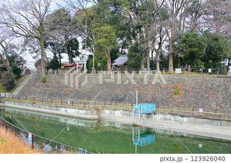 梅の咲くころ 菅沼天神社 菅沼沈砂池 深谷市 梅の咲くころ 菅沼天神社 菅沼沈砂池 深谷市 123926040