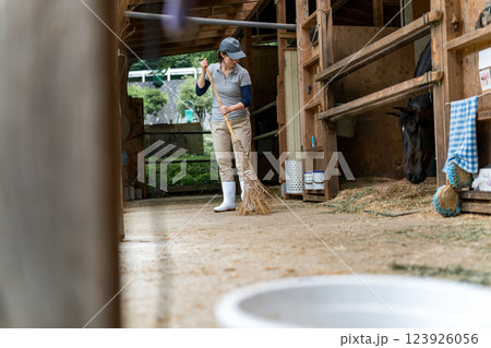 involved with horses involved with horses 123926056