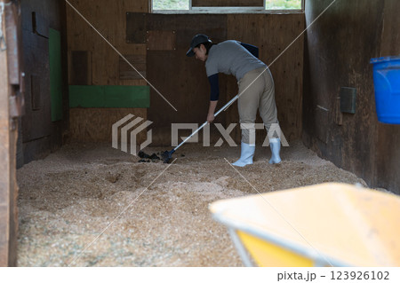 involved with horses 123926102