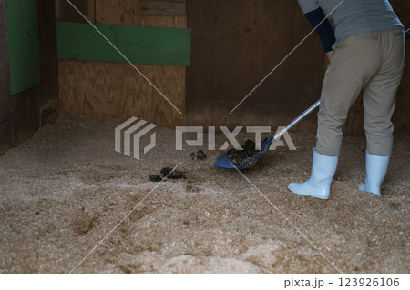 involved with horses 123926106