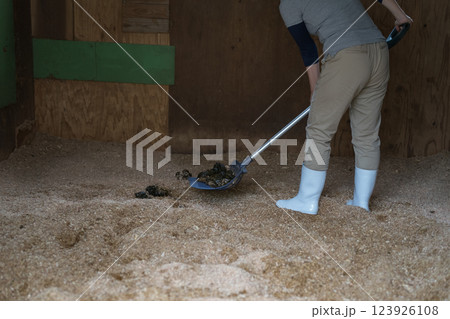 involved with horses involved with horses 123926108