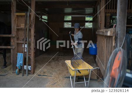 involved with horses involved with horses 123926114